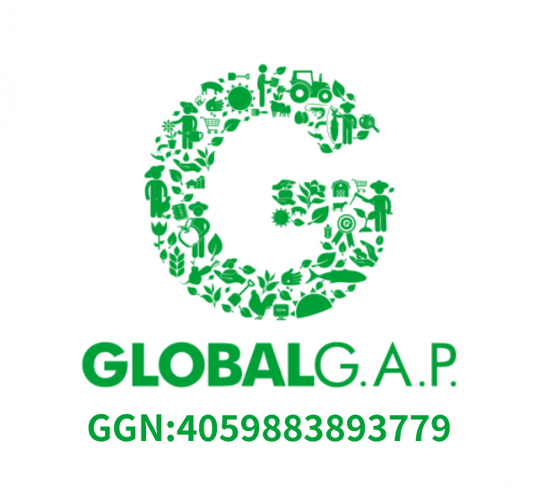 GLOBAL G.A.P GGN:4059883893779
