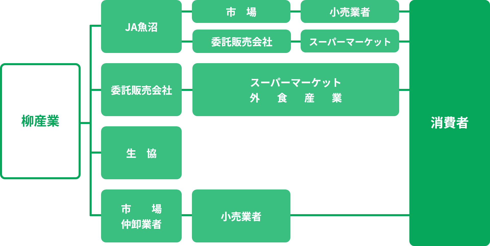 販売ネットワーク図